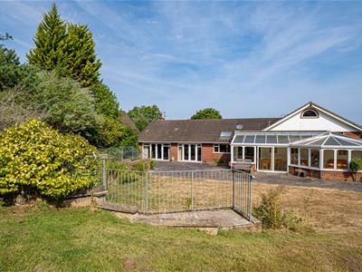 Picture 31